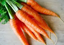 High quality Price of dried carrots