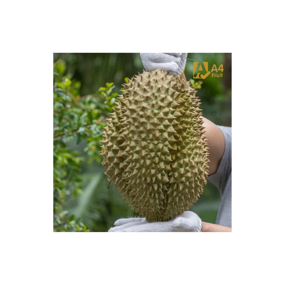 Premium Fresh Cut Durian - Thai-Origin, Delectable Flavor, Conveniently Prepared, Fast Delivery, Experience Fruit Luxury.