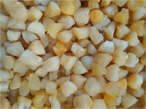Natural Scallop meat Without Shells Dried Scallop For Cooking Soup