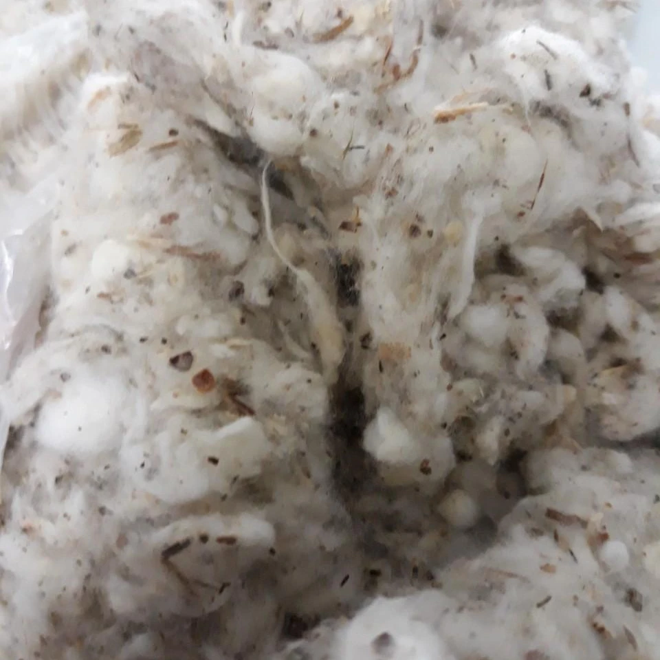 Lickerin A and B Grade/Card Fly/Flat strip Cotton Waste With Negotiable Price From Vietnam ( Ms. Xavia +84333371330 )