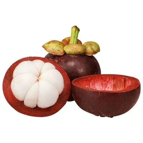 
AD Fresh Mangosteen frozen freeze dried paste Snack fruits Product of thailand by Zain Brand 