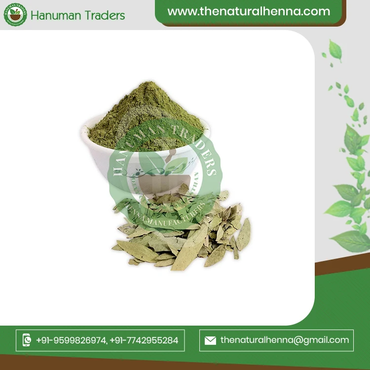 Pure Original Senna Leaves And Pods For Tea Industries Buy From International Exporter From India