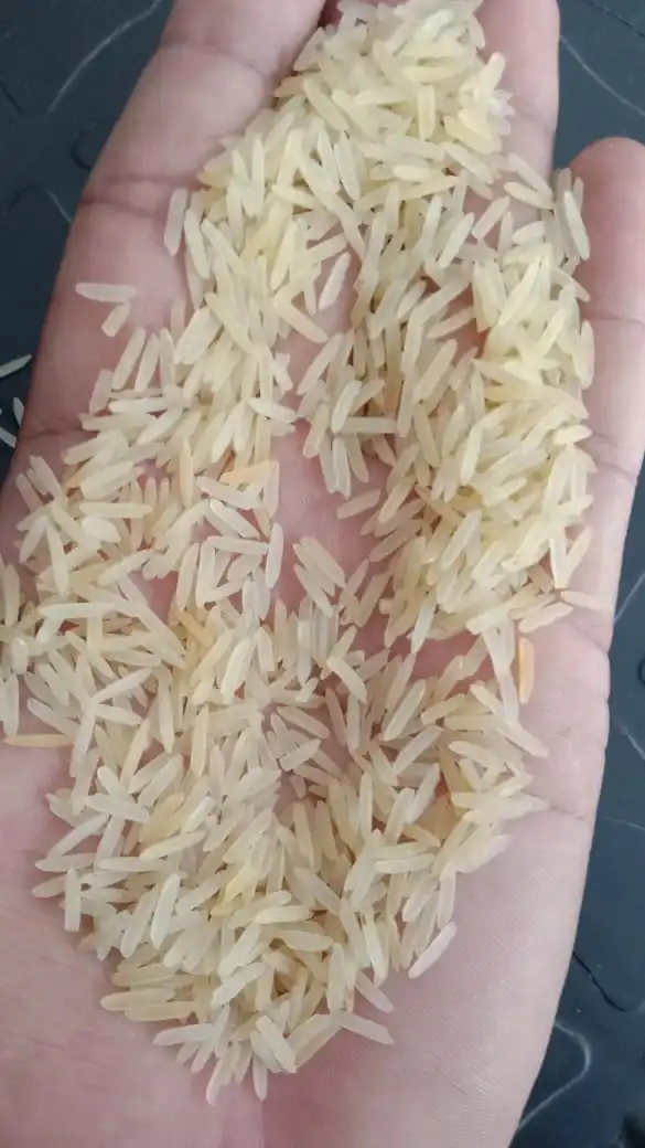 for sell 1121 Basmati Rice from Pakistan Sella 1509