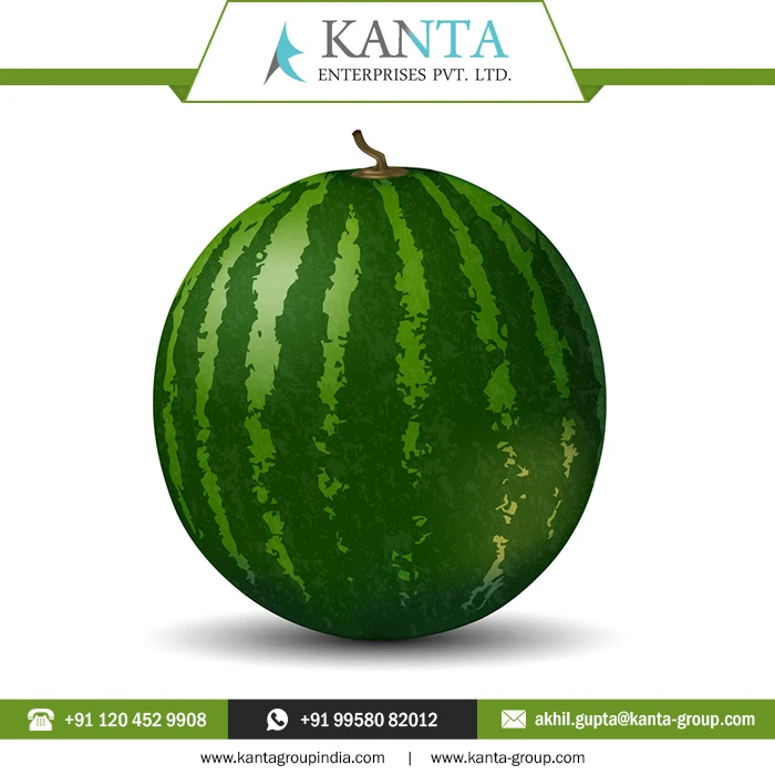 Buy Online Watermelon Essential Oil used in cosmetics as an emollient and lubricant with Low MOQ