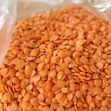 
Bulk Green And Red Quality Lentils for sale  (50031621058)