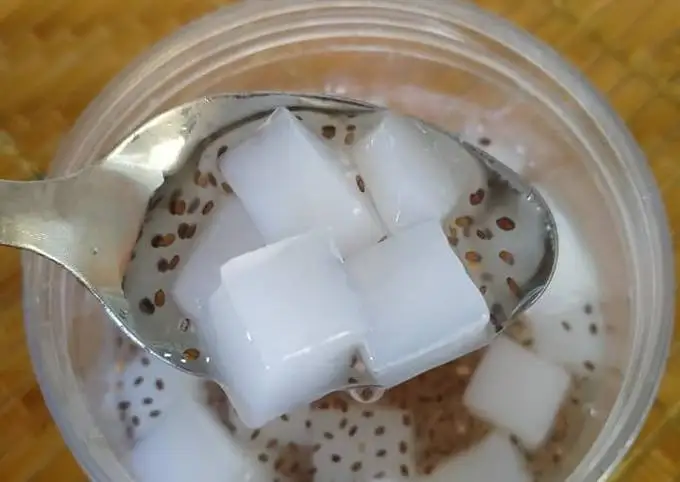 Поставка NATA DE COCO по низкой цене-Хелен + 84374288086