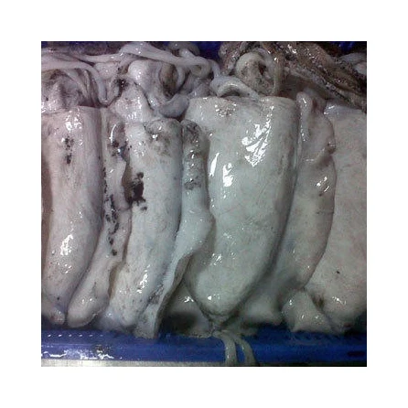 Морская рыба/замороженная морская рыба