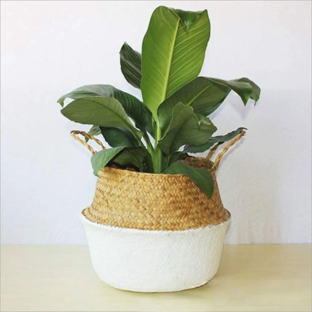 Direct Manufacturer Biodegradable Indoor Seagrass Pot Flowers Rattan Home Indoor Pot Flowers From Vietnam