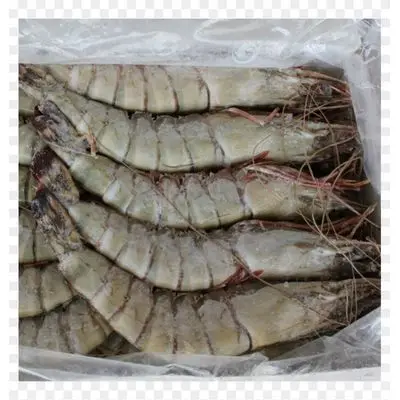 Vannamei Shrimp5.jpg