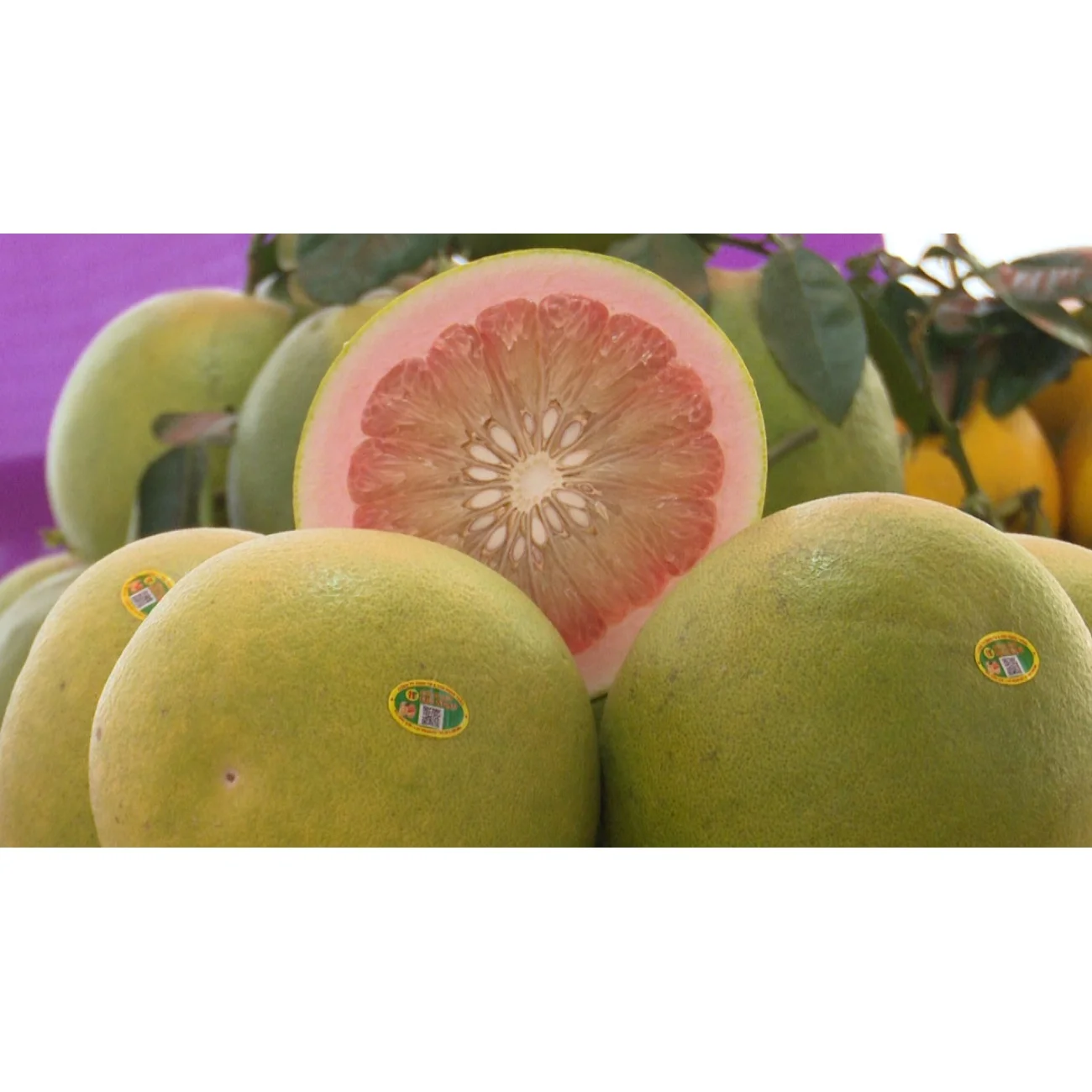 Высокое качество оптовая продажа специальная кухня органическое культивирование зеленый грейпфрут со сладким вкусом из Вьетнама