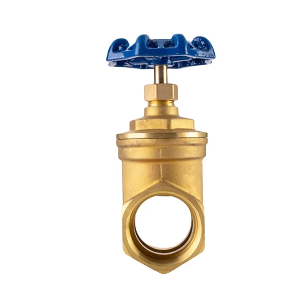 Вьетнамский клапан, заводской металлический задвижной клапан BSP, внутренняя наружная резьба, используется для водопроводной трубы