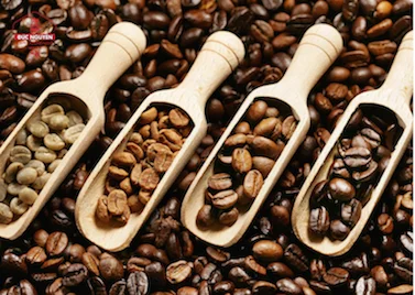 Wholesale Coffee Beans Arabica Roasted Green Beans Coffee Green Coffee Beans Vietnam