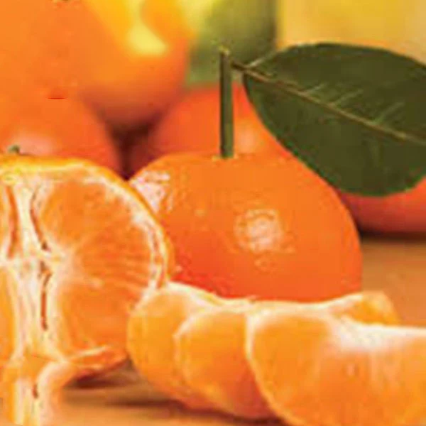 sweet kinnow mandarin citrus fruit from Pakistan Bulk Price