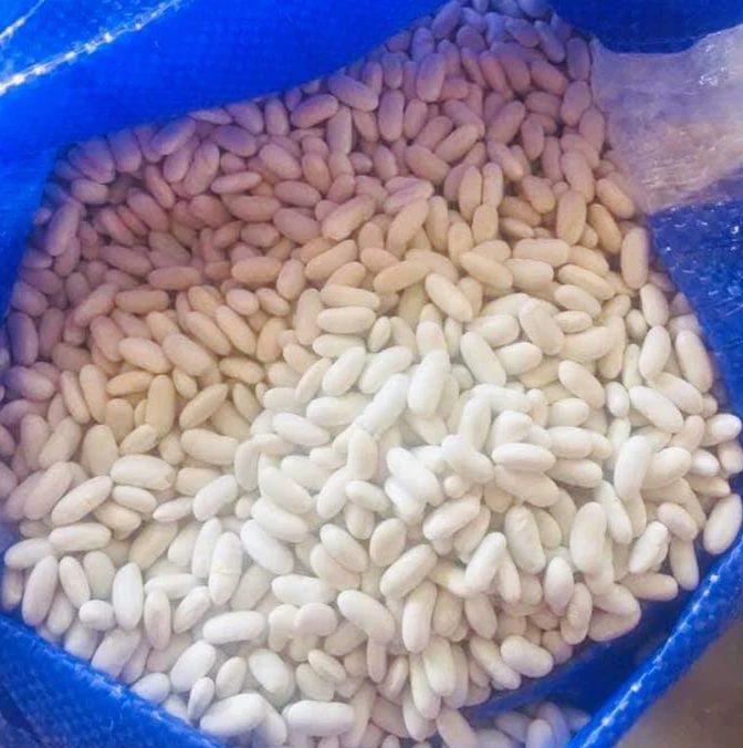 
Quality White Butter Beans At Low Cost Bulk Price 