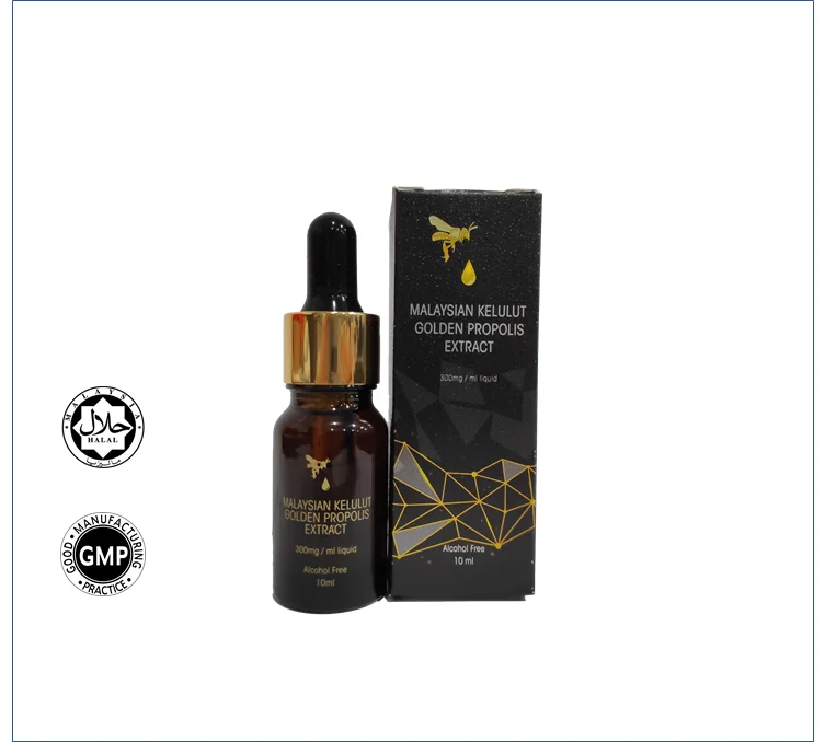 Hot Selling High Quality Natural 100% Pure Eco Bee Malaysia Kelulut Golden Propolis Extract 10ml Halal for Health Supplement