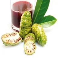 Асептический продукт Noni Juice Puree с конкурентоспособной