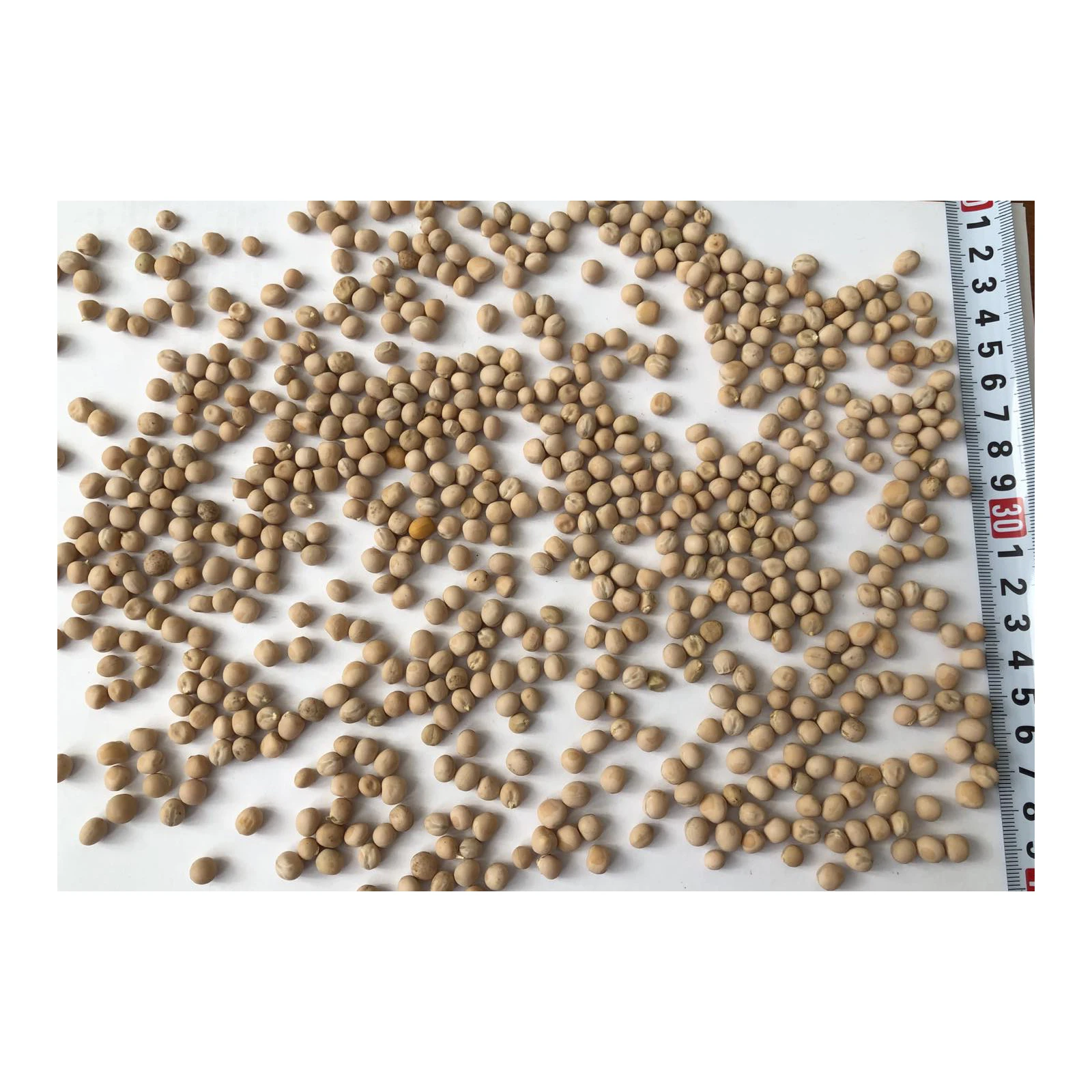 
Premium quality natural yellow peas in bulk, from manufacturer 