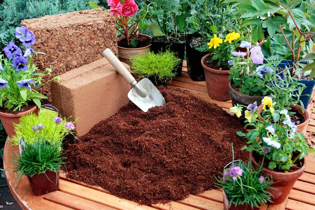 Cocopeat for sale - Coco peat in bale - Cocopeat price for exports - Cocopeat block