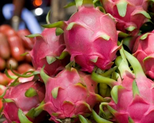 
FRESH DRAGON FRUIT / WHITE FLESH AND RED FLESH DRAGON FRUIT 