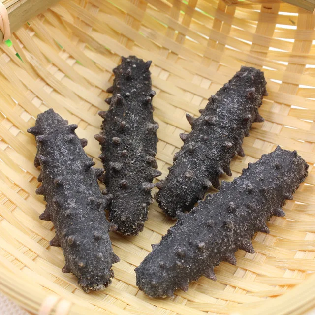 
sea cucumber 