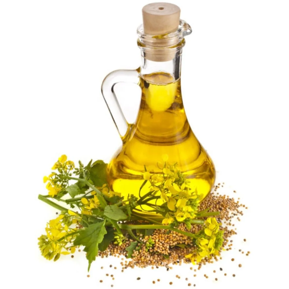 
100% Natural and Pure Seed Oil Multi Function Moringa Seed Oil Extraction Machine Price 