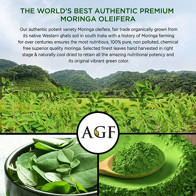 Premium Quality Indian Origin Moringa Leaf Powder Manufacturer Bulk Organic Moringa Oleifera Powder Best and Cheap Price