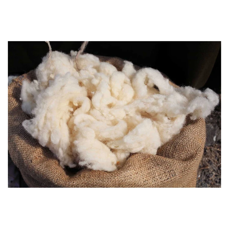 High quality scoured sheep wool various type, price sheep wool