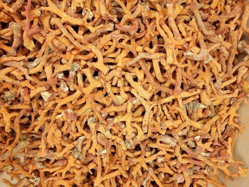 
Good Quality Rough Branch Natural Red Italian Coral 