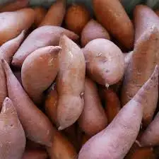  Лучший продукт на экспорт // японский сладкий картофель мед YAM из Вьетнама для оптовой продажи только $1/ Ms Sofia + 84 789946878