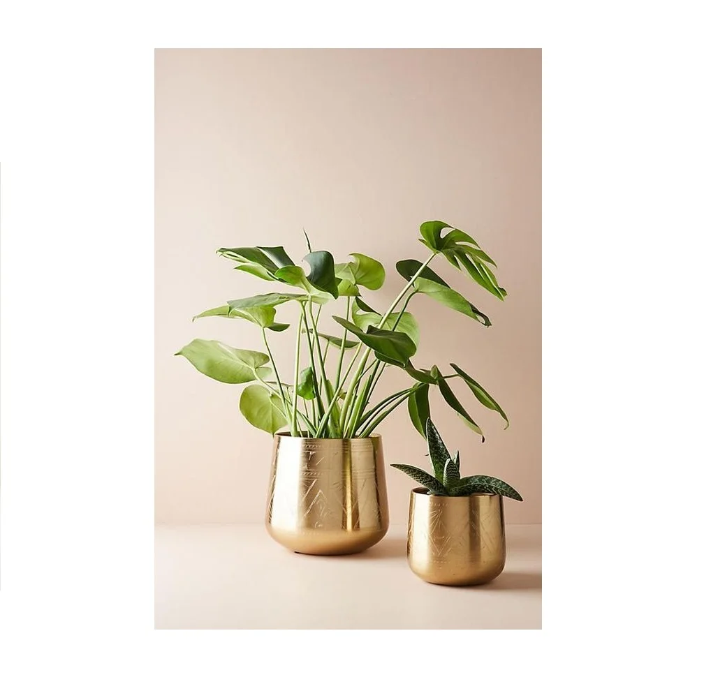 Hot selling planters flower pot galvanized gold plated round shape indoor and outdoor planter for decoration and plantation