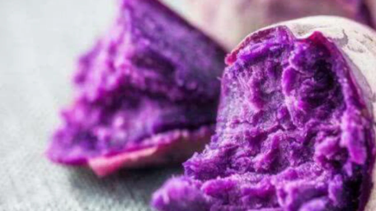 Свежий фиолетовый сладкий картофель 100% высококачественный органический экспорт сделано во Вьетнаме натуральный заводская цена