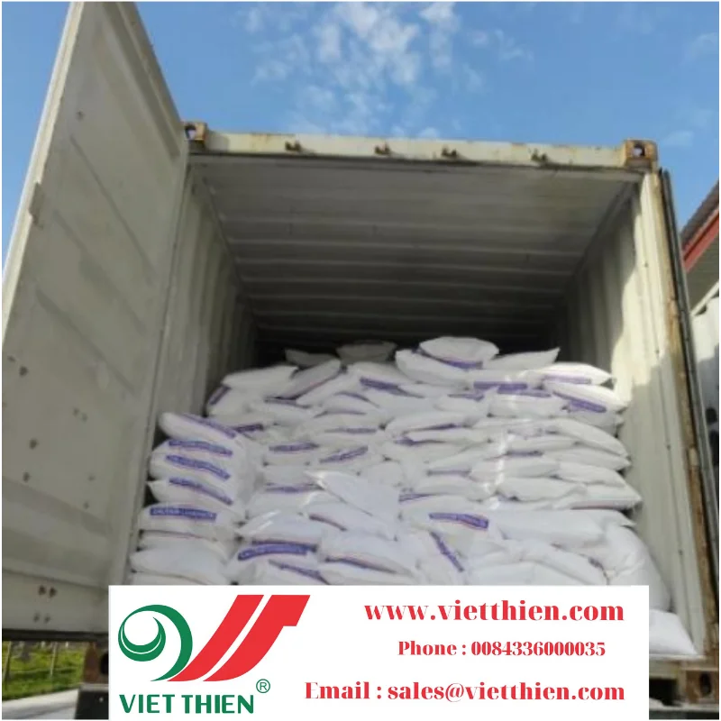 
Black bean with green yolk grown in Vietnam is a cheap quality food that brings golden health and cures many diseases 