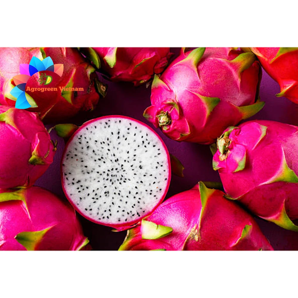 Frozen Dragon Fruit Puree For Export From Vietnam