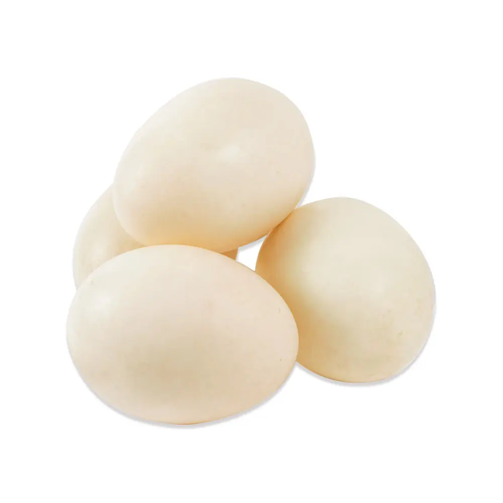  Chicken Eggs Ostrich Turkey Fresh Table Brown And White