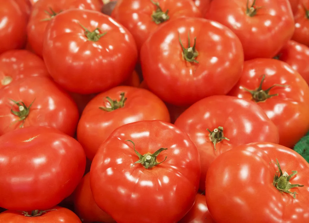 Свежий томат высокого качества