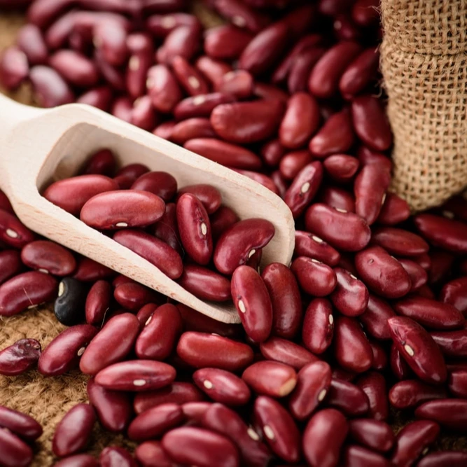 Red Kidney Beans For Sale