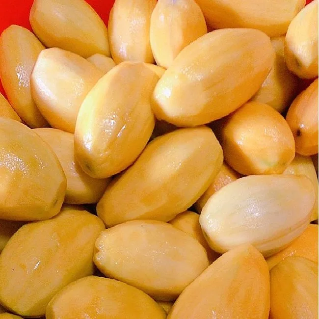 
Most Healthy Fruit Snack Soft In Plastic Bag Ready To Export Dried Mango Vacuum Packaging Made In Vietnam 