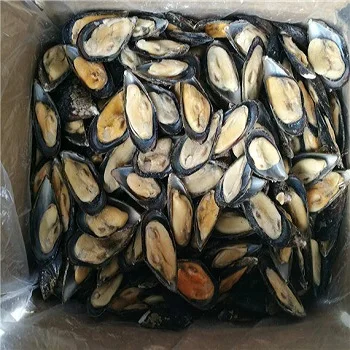 
Quality frozen and Fresh blue mussel 