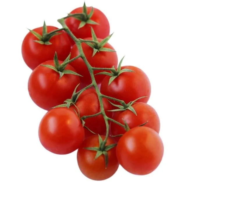 Свежие помидоры 2021, новый сезон, Вкусные Высококачественные красные помидоры из Кении