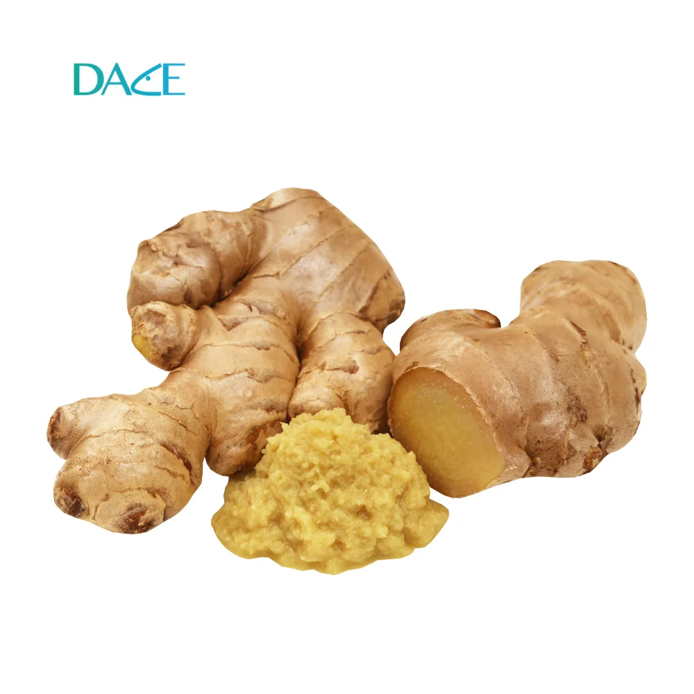 Japanese standard of Fresh Ginger from Vietnam Single spices & herbs with hot selling ginger offer for red ginger buyer