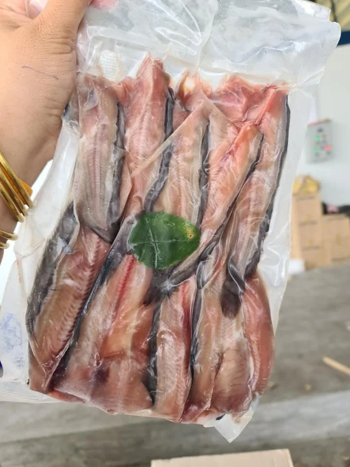 frozen fish wholesale manufacturers