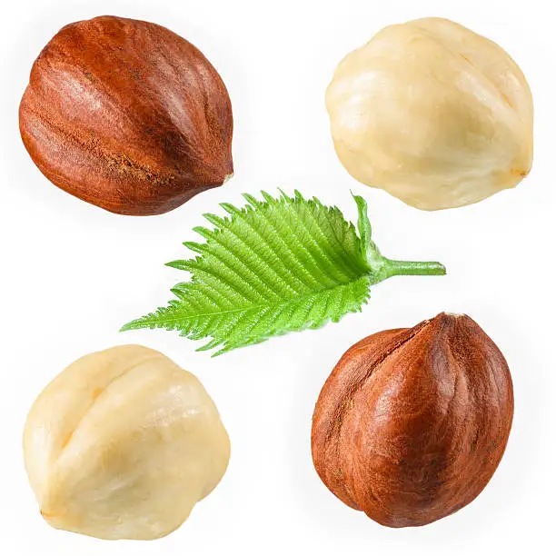 Лесные орехи