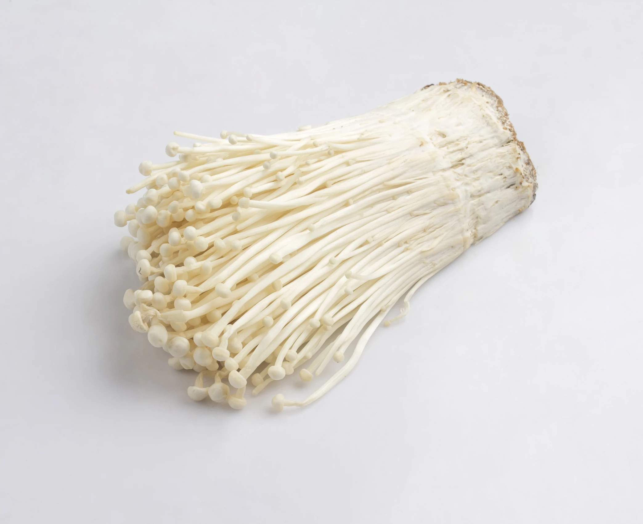 
Enoki Mushroom Packaging Organic Fresh and Delicious High Quaity for Export 