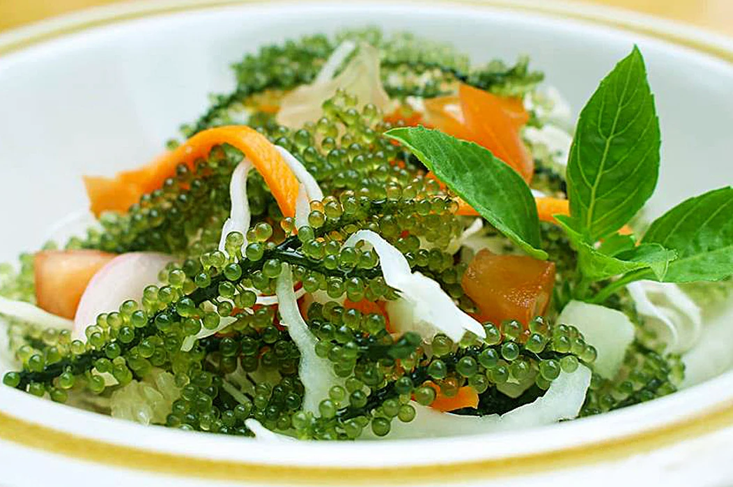 Оптовая продажа свежих соленых видов винограда сделано во Вьетнаме/Лучшая цена/мисс Анни: + 84 973 125 732 (Whatsapp)