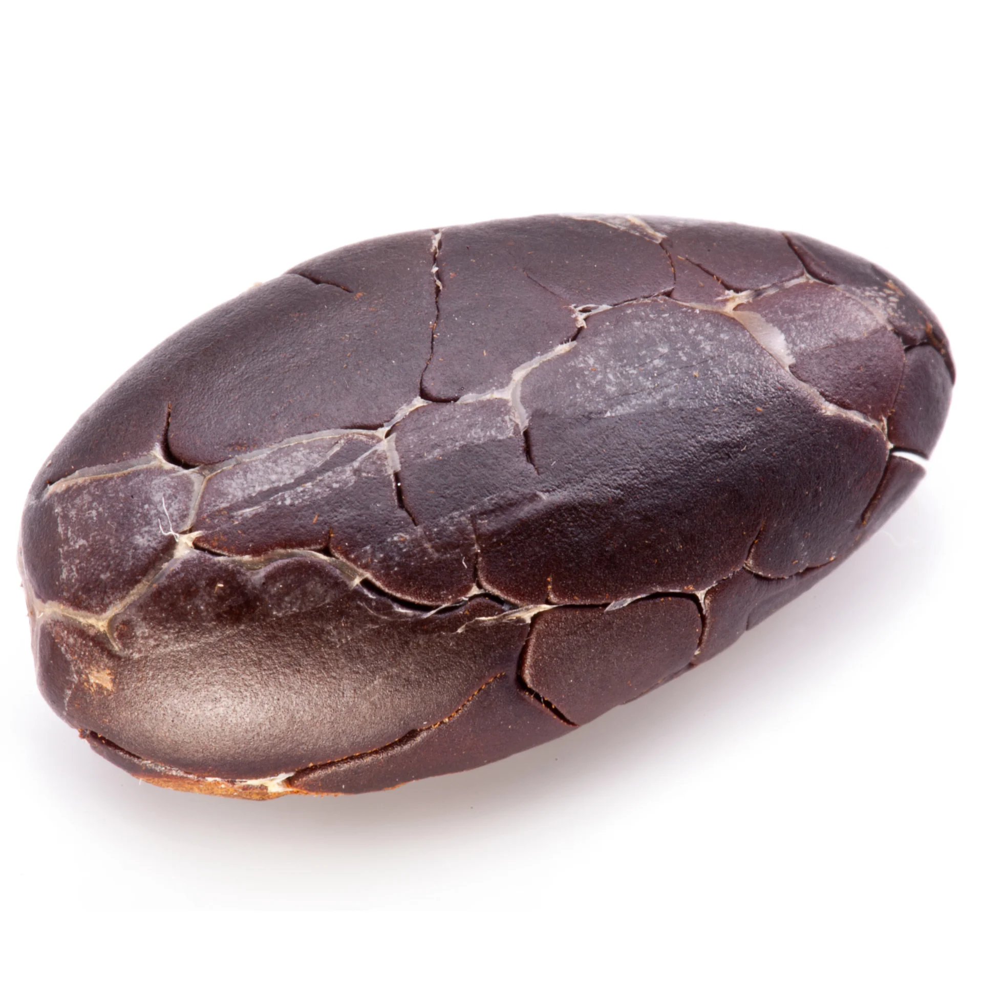 Сушеные какао бобы