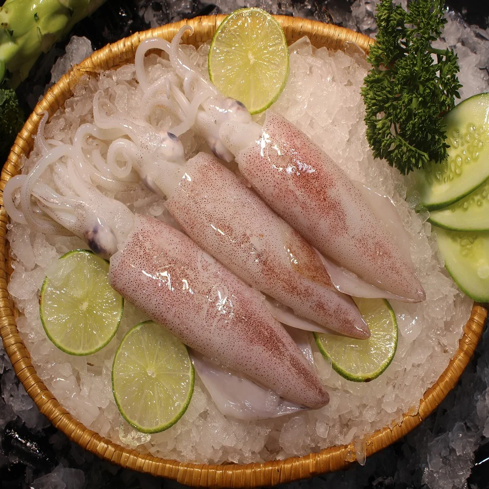 
 Полный срок годности 24 месяца в вакуумной упаковке и коробке для упаковки кальмаров, кальмаров и кальмаров  