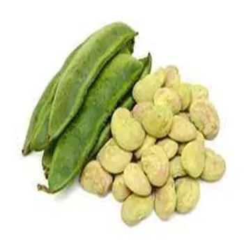 
Fresh supplier quantity Selling Lima Beans for Bulk Purchase at Wholesale Price 