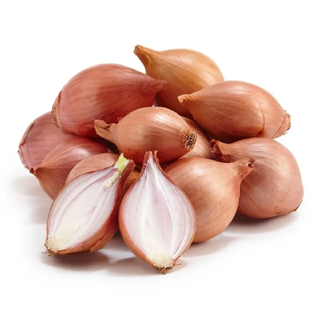 Vegetable SMALL ONION Organic Factory Supply Fresh Crops Fresh Green Vegetable for export for sale