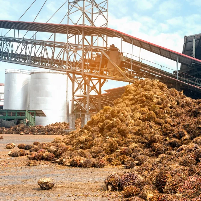 
High Quality - CPO - Crude Palm Oil 