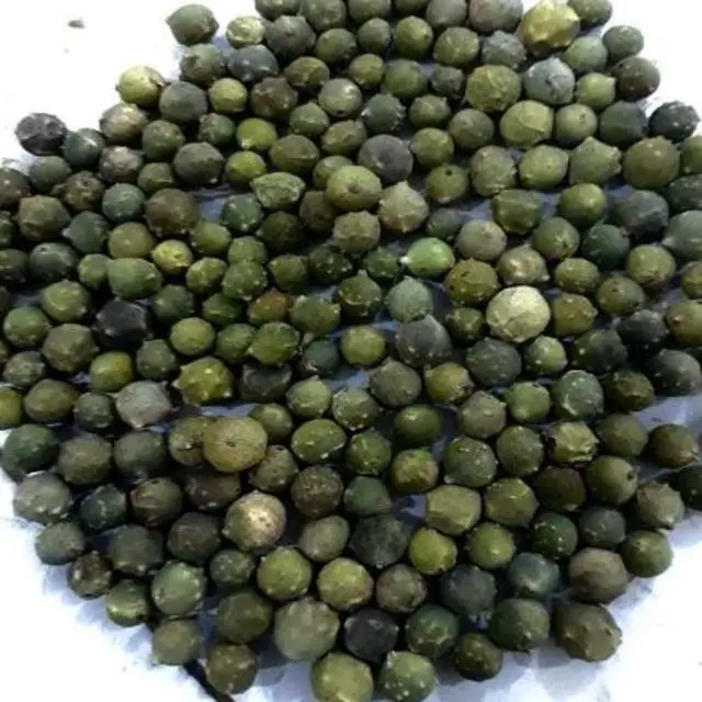 
Gallnuts or Maju Sabz traditional medicine 